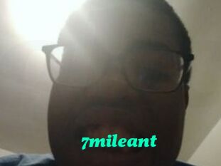 7mileant