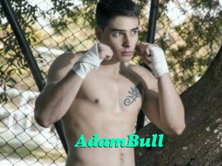 AdamBull