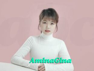 AminaGina