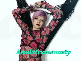 Analxtremenasty