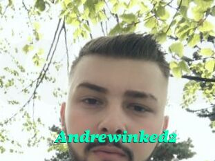 Andrewinked2