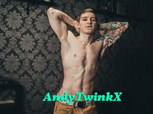 AndyTwinkX