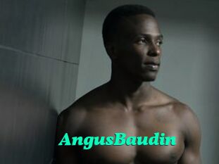 AngusBaudin