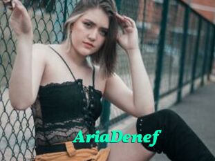 AriaDenef