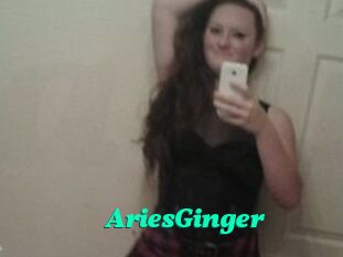 AriesGinger