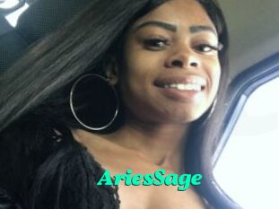 AriesSage