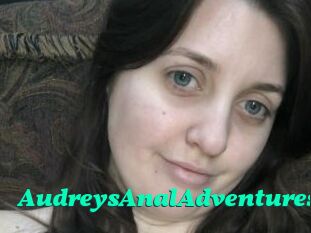 AudreysAnalAdventures