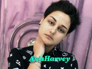 AvisHarvey