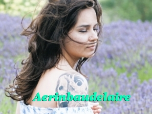 Aerinbaudelaire