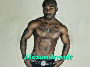 Alexandercolt