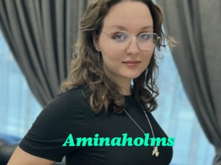 Aminaholms