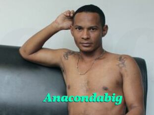Anacondabig