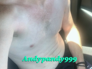 Andypandy999