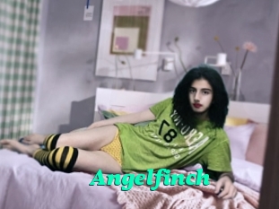 Angelfinch