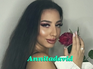 Annitadavid
