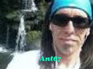 Ant67