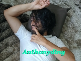 Anthonyding