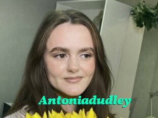 Antoniadudley