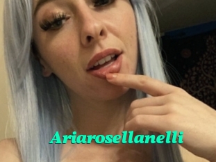 Ariarosellanelli