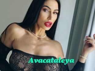 Avacataleya