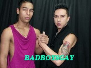 BADBOYSGAY