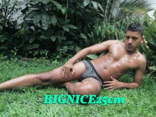 BIGNICE25cm