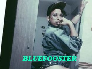 BLUEFOOSTER