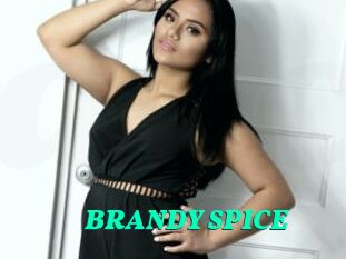 BRANDY_SPICE