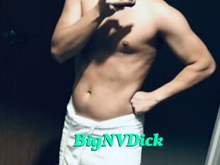 BigNVDick