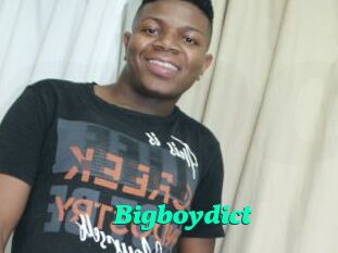 Bigboydict