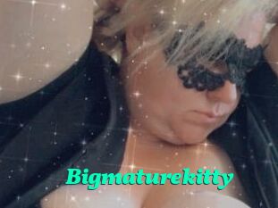 Bigmaturekitty