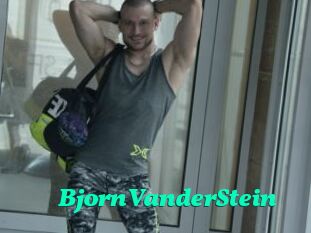 BjornVanderStein