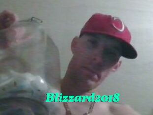 Blizzard2018
