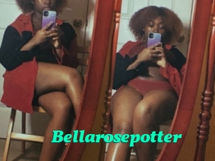 Bellarosepotter