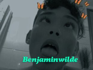 Benjaminwilde