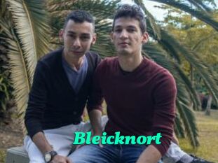Bleicknort