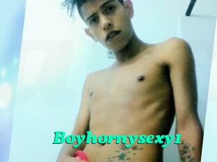 Boyhornysexy1