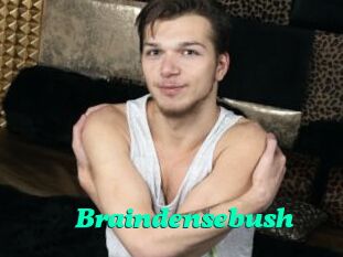 Braindensebush