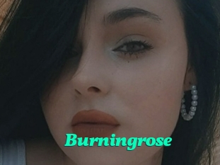 Burningrose