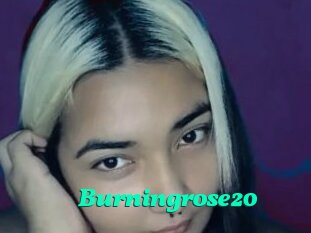 Burningrose20