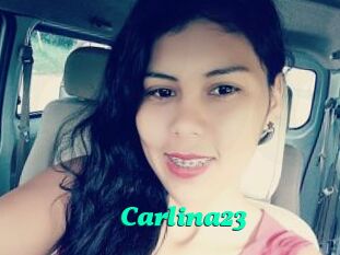 Carlina23