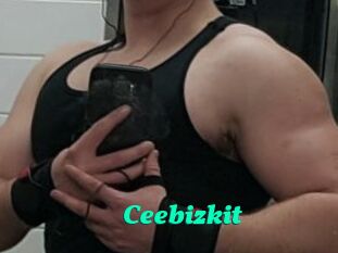 Ceebizkit