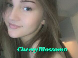 CherryBlossom0