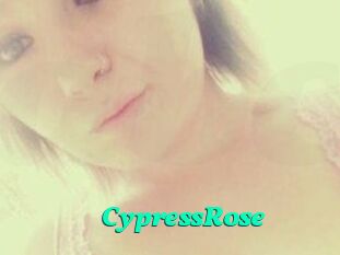 Cypress_Rose