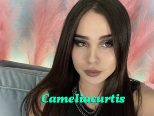 Cameliacurtis