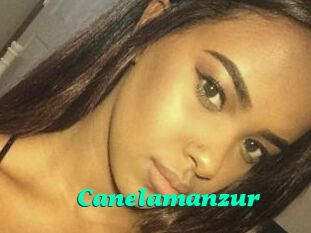 Canelamanzur