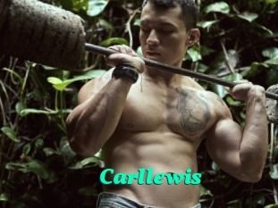 Carllewis