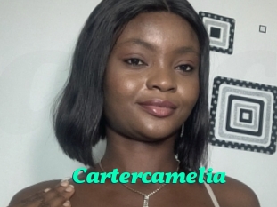 Cartercamelia