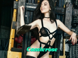 Cassierose