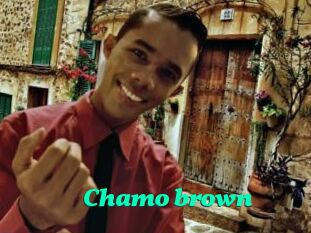 Chamo_brown